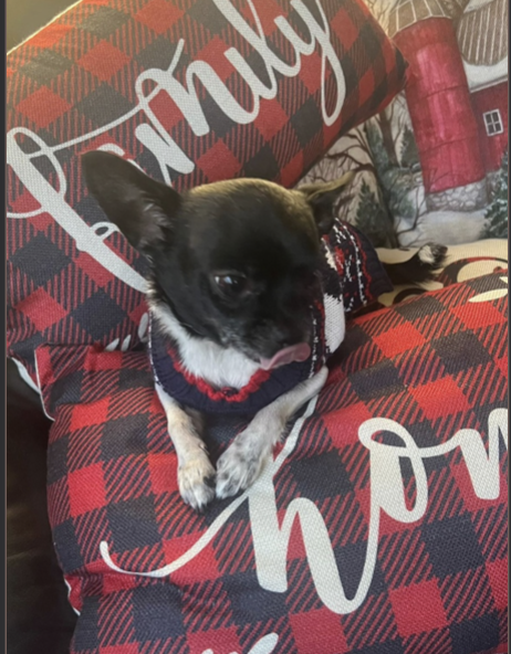 Milo