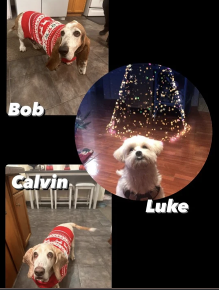 Bob, Luke, and Calvin