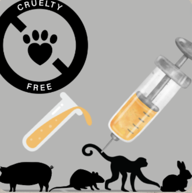 The cruelty of animal testing