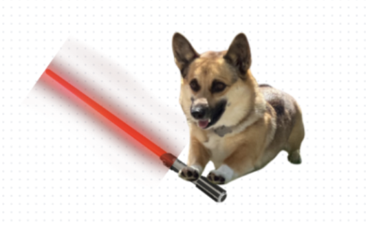 Sabrina's dog, Sunny, celebrating Star Wars Day
(Photo editted with Canva)