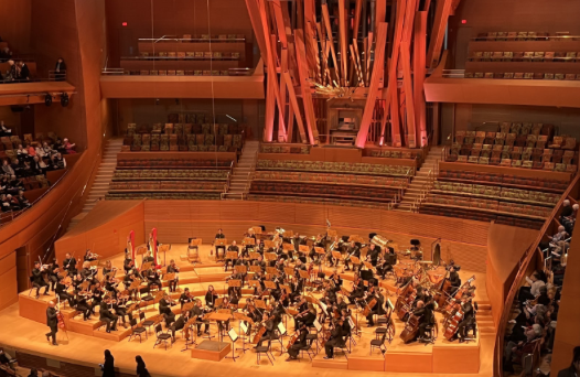 The orchestra practicing before the main event.
