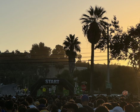 Photo of starting line
