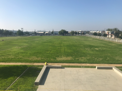 The yard after being worked on.