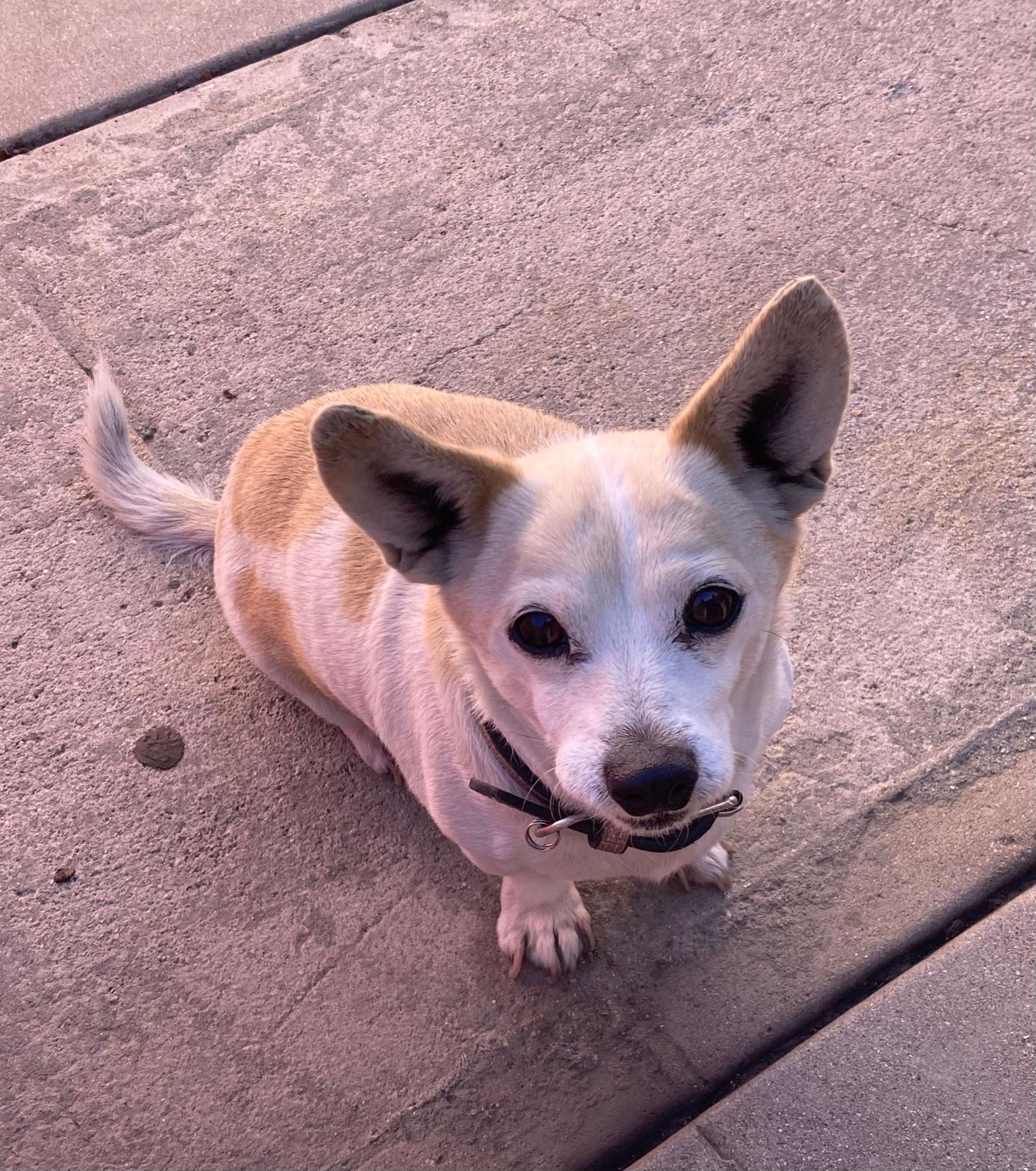 Wilbur, Camila Orozco