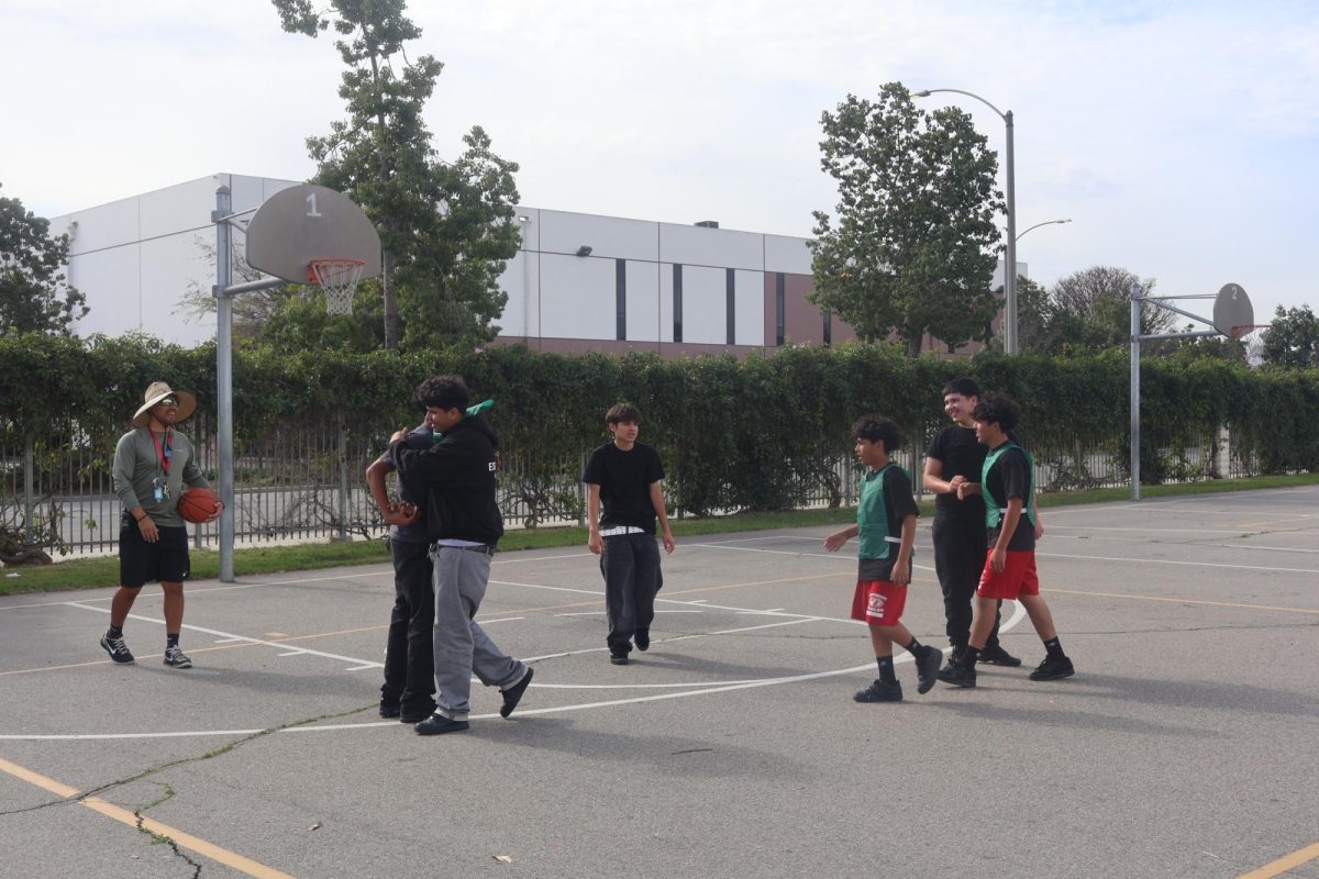Players showing good sportsmanship after a match (photo