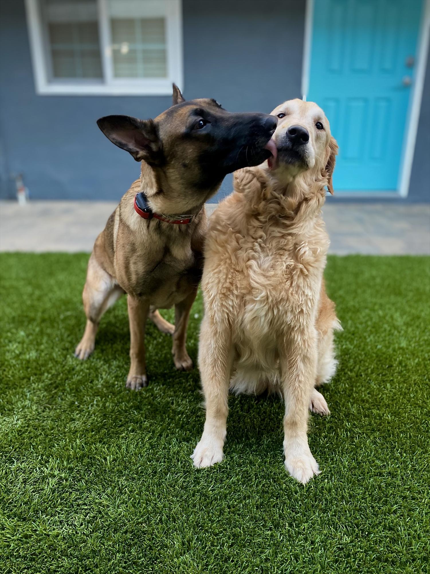Kaiya Scout and Paris, Ms. Guzman