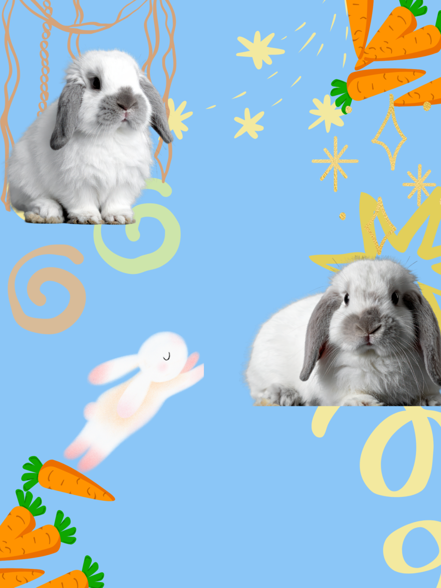 Good Bunnies vs. EVILLL Bunnies