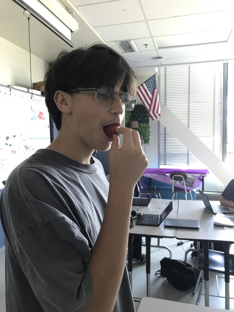 Are tomatoes fruits or vegetables?