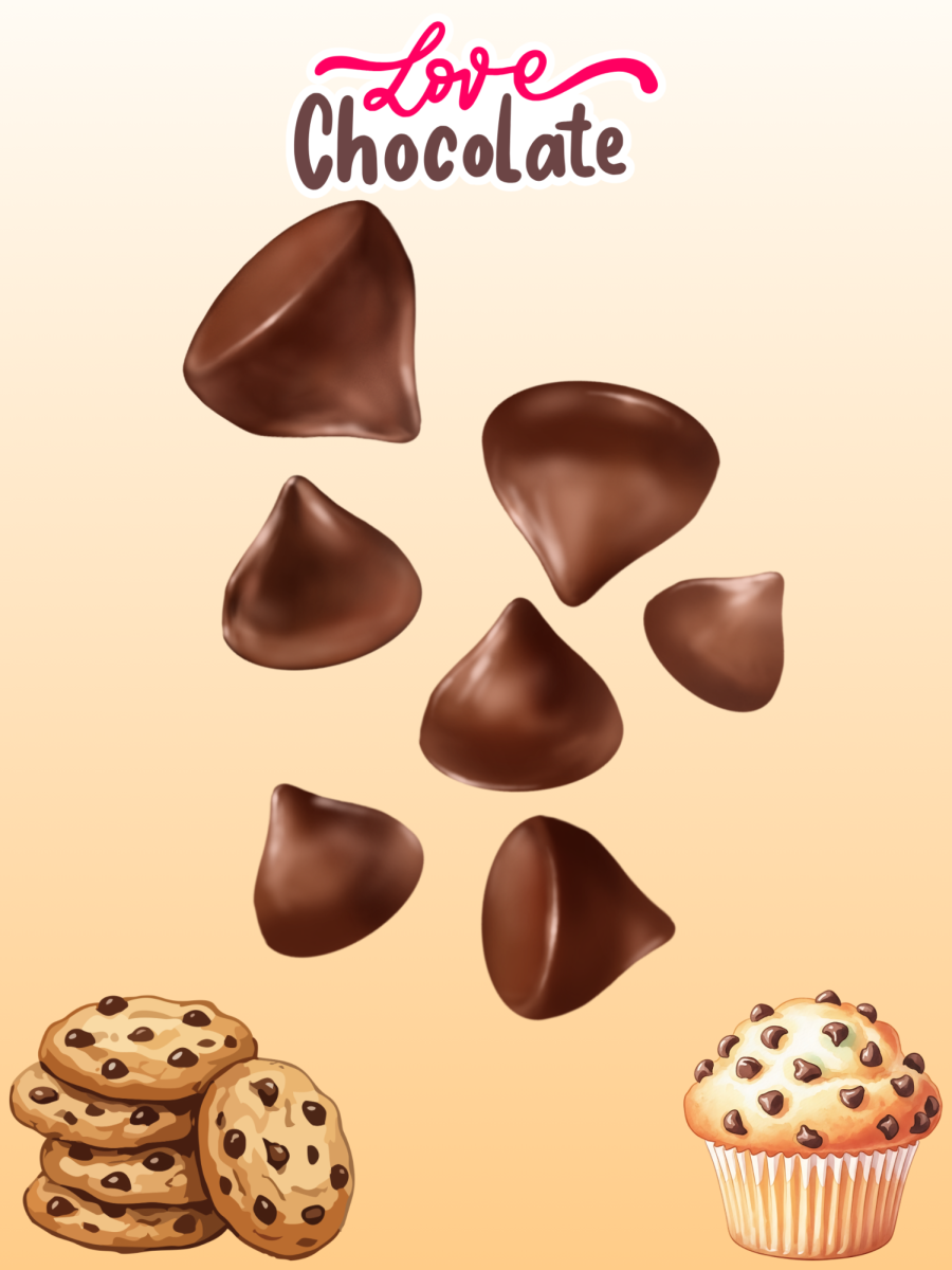 How SEMS students use chocolate chips